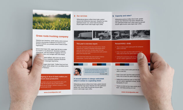 003 Template Ideas Free Corporate Trifold Brochure Tri Fold inside Membership Brochure Template