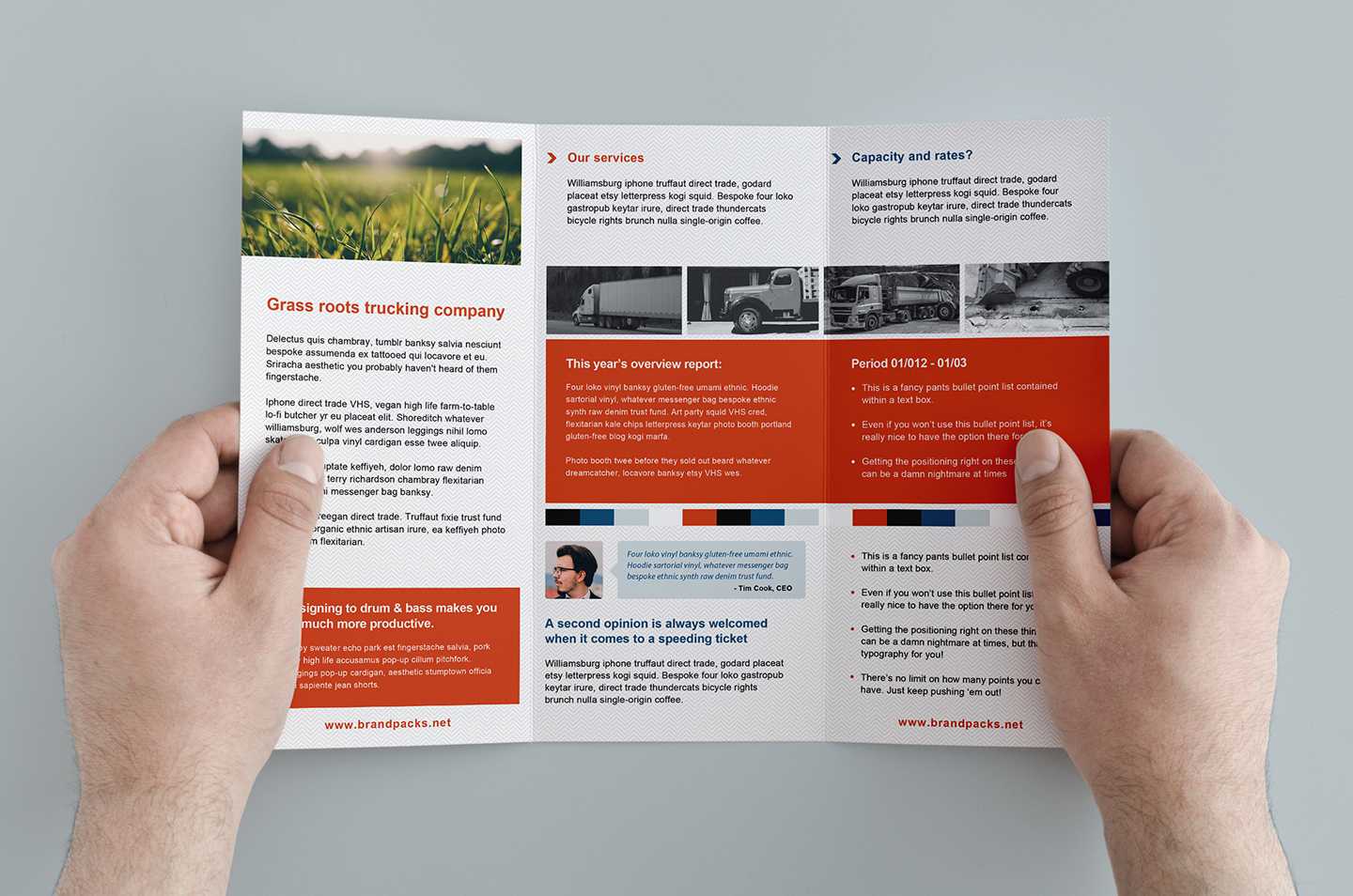 003 Template Ideas Free Corporate Trifold Brochure Tri Fold Inside Membership Brochure Template