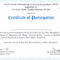 005 Certificate Sample Word Template Marvelous Ideas For Certificate Of Participation Template Word