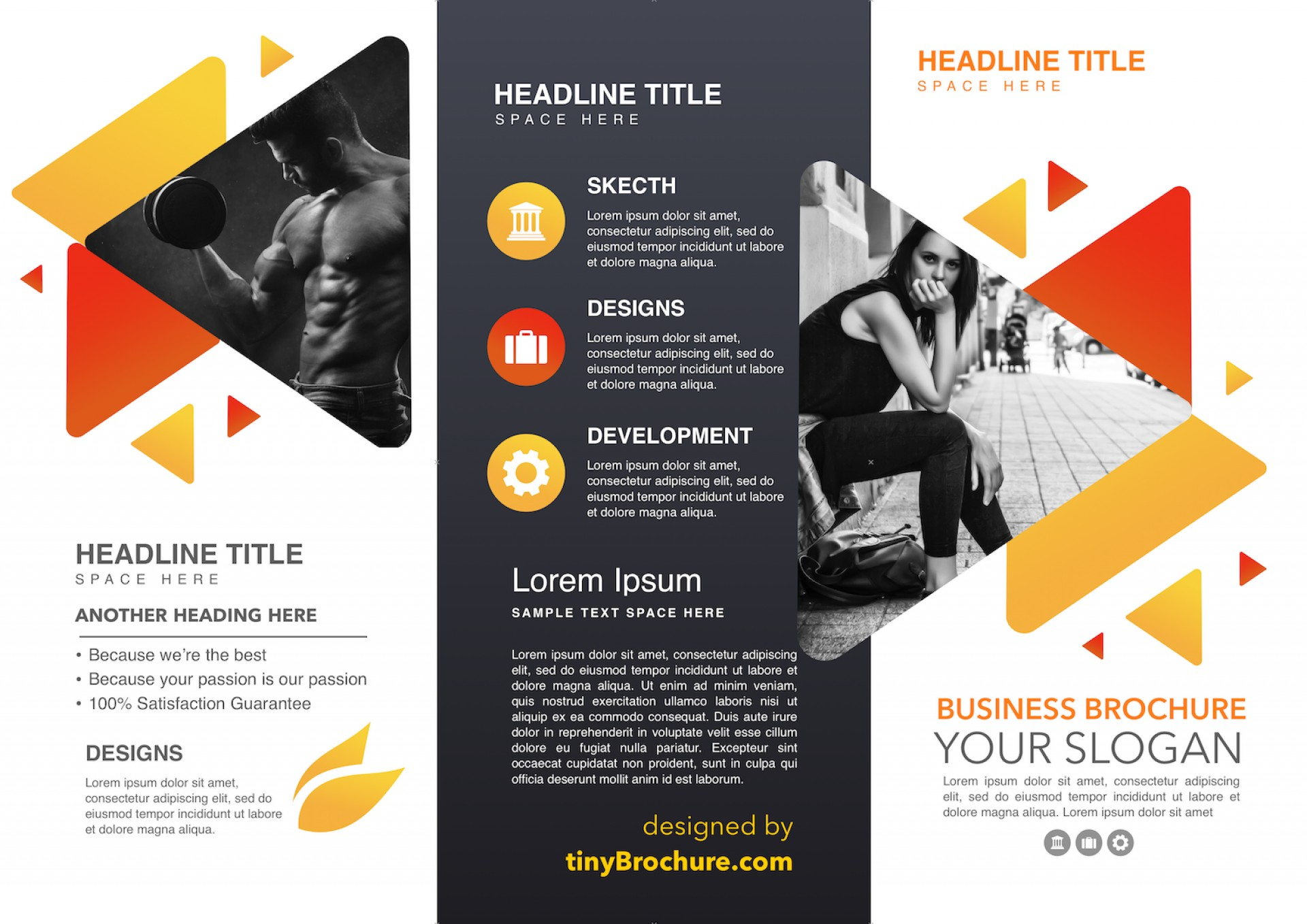 010 Google Docs Science Brochure Template For Luxury Tri With Science Brochure Template Google Docs