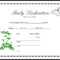 013 Appealing Official Birth Certificate Template Sample Inside Baby Dedication Certificate Template