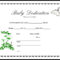 013 Appealing Official Birth Certificate Template Sample Regarding Baby Christening Certificate Template