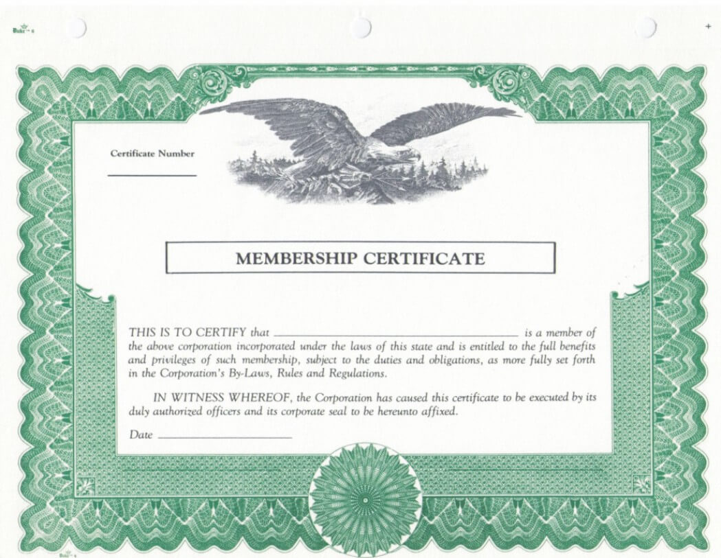 020 Template Ideas Llc Membership Certificate Incredible For Llc Membership Certificate Template Word
