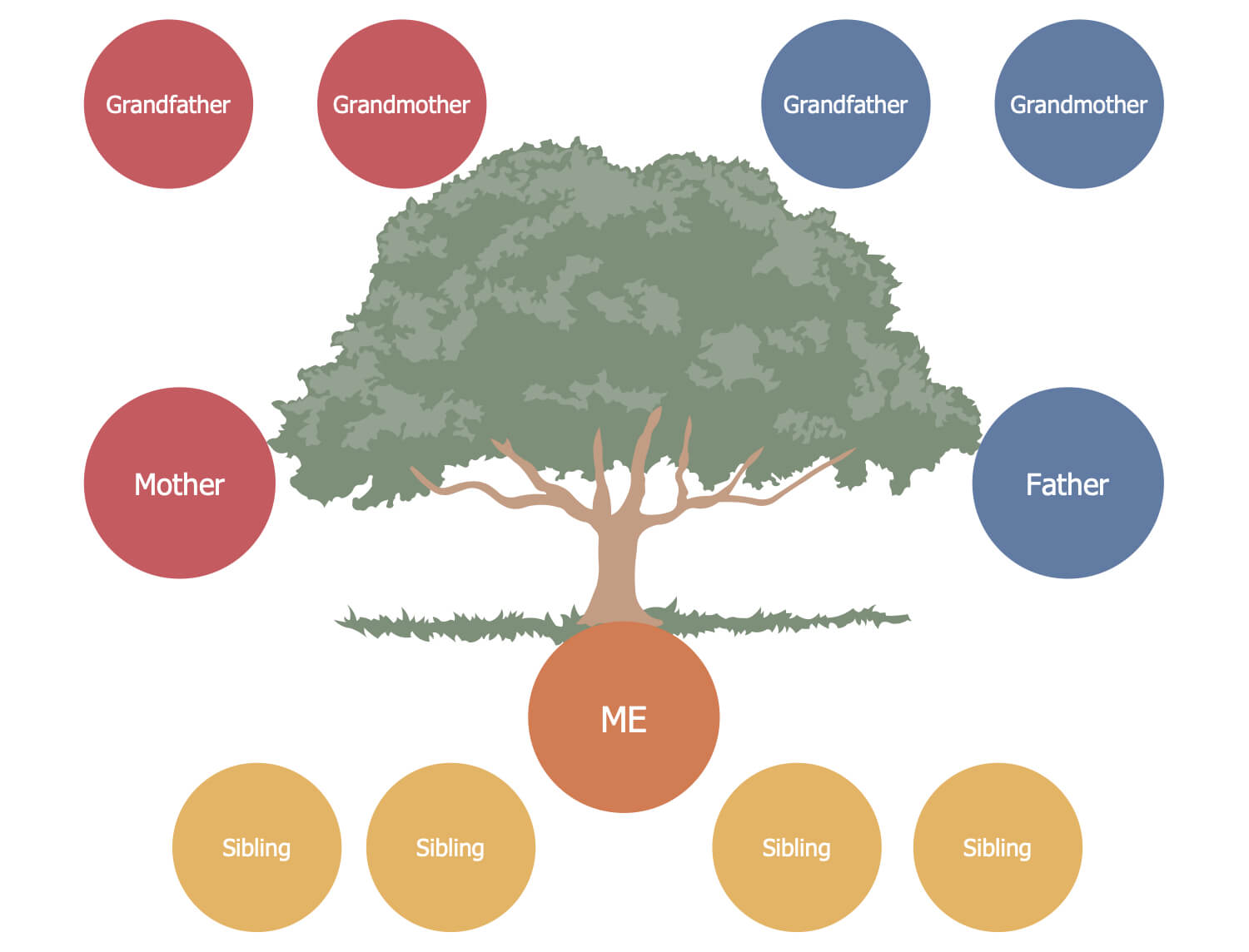 021 Diagrams Family Tree Template Simple Breathtaking Ideas For 3 Generation Family Tree Template Word
