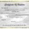 022 Pinselena Bing Perry On Certificates Certificate Regarding Christian Certificate Template
