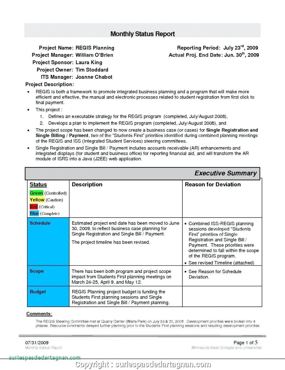 028 Monthly Sales Report Template Executive Manager Example In Sales Manager Monthly Report Templates