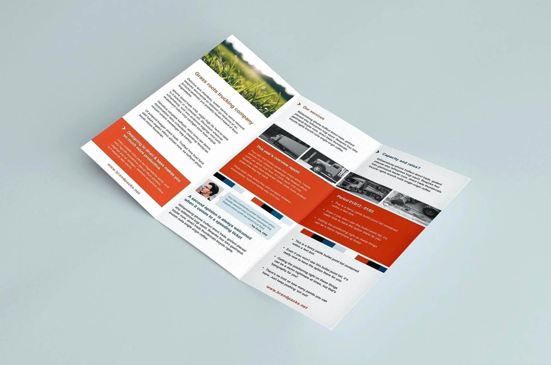 029 Tri Fold Brochure Template Publisher Elegant Microsoft Pertaining To Pop Up Brochure Template