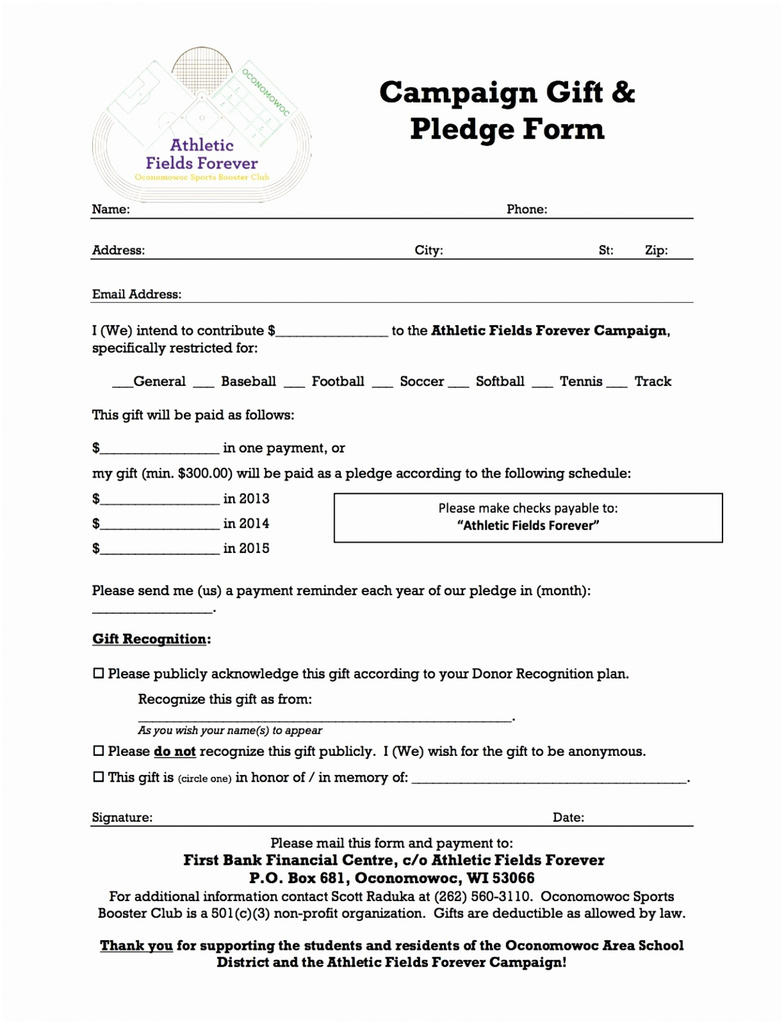 030 Fundraising Form Template Word Charity Pledge Wonderful With Regard To Free Pledge Card Template