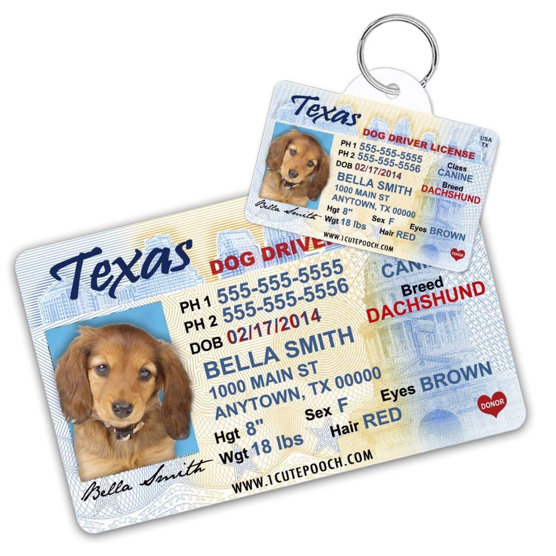 043 Printable Service Dog Id Card Template Staggering Ideas Intended For Texas Id Card Template