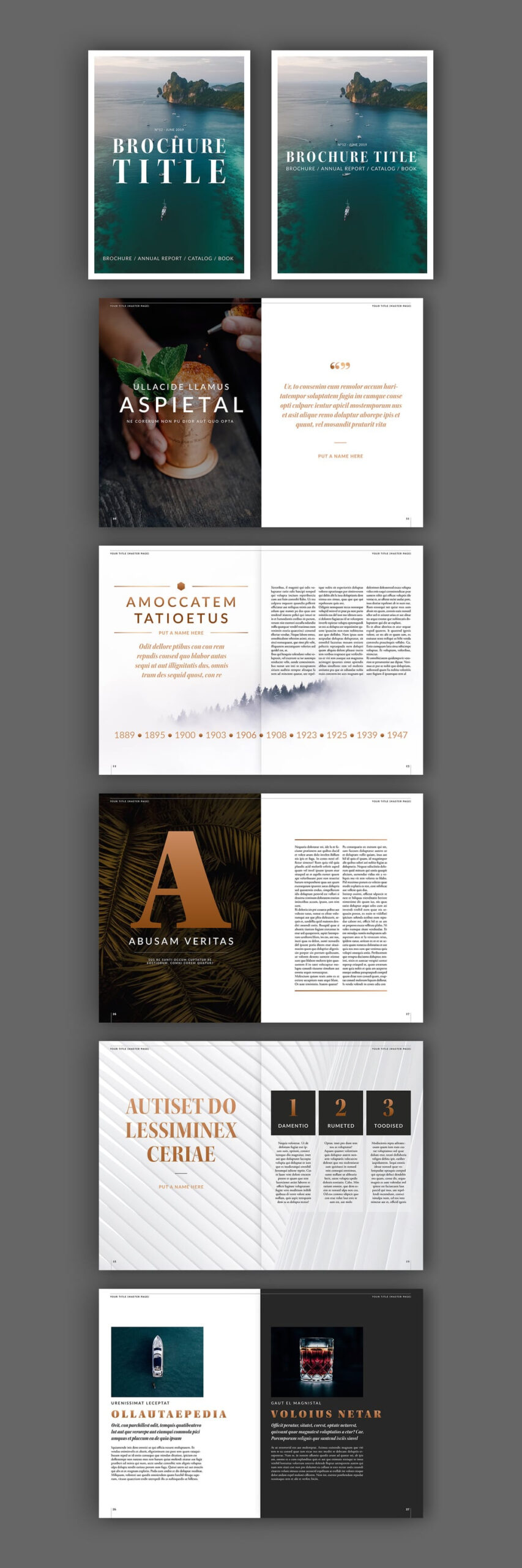 100 Best Indesign Brochure Templates With Membership Brochure Template