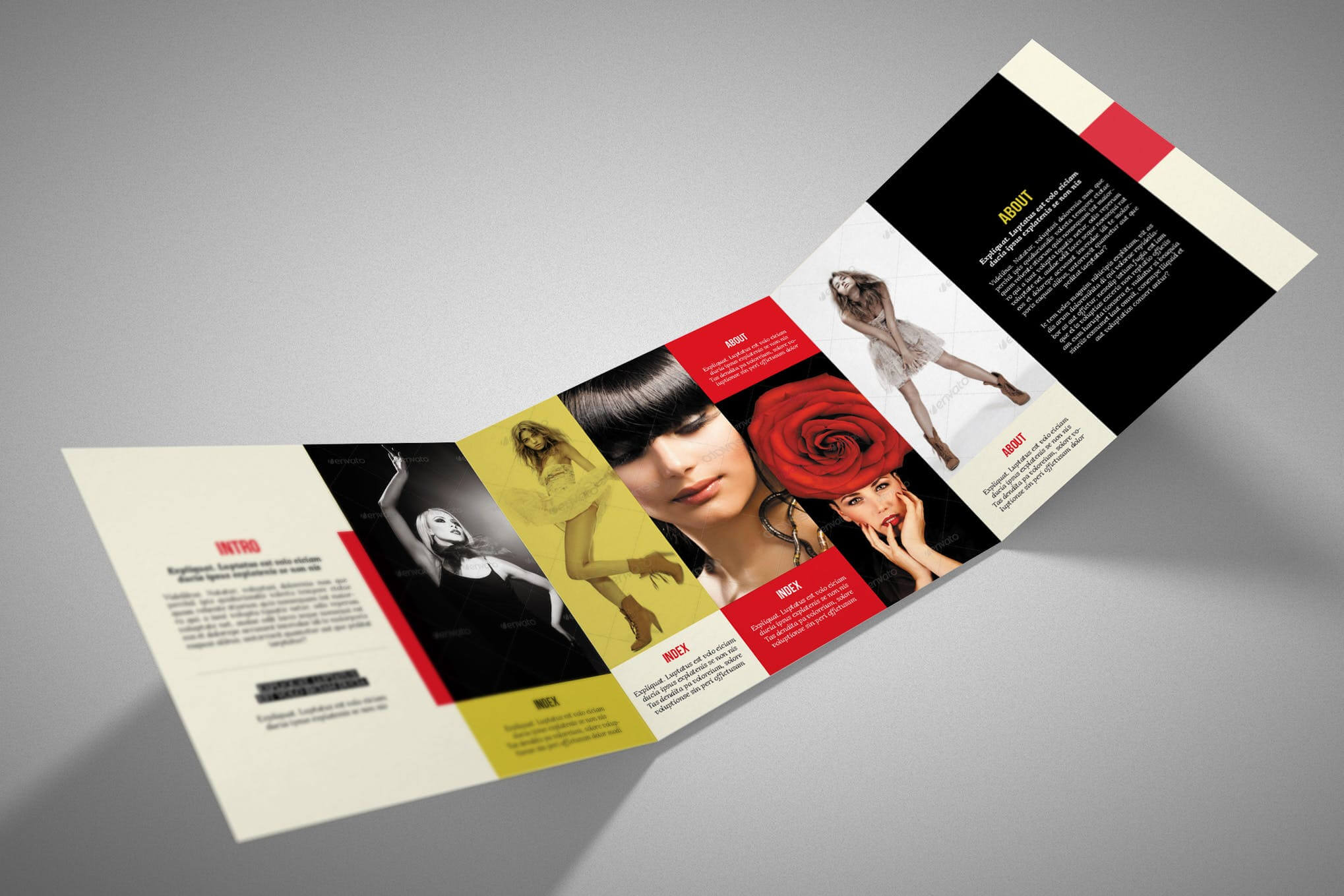 100 Best Indesign Brochure Templates Within Adobe Indesign Tri Fold Brochure Template