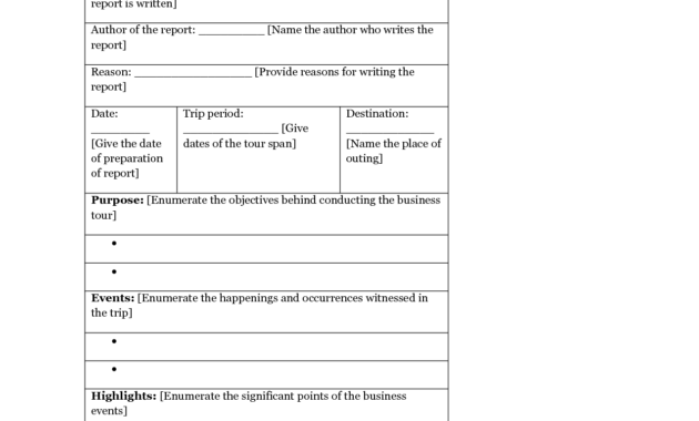 13 + Business Trip Report Examples - Pdf, Word, Apple Pages inside Business Trip Report Template