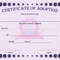 15+ Adoption Certificate Templates | Free Printable Word In Adoption Certificate Template