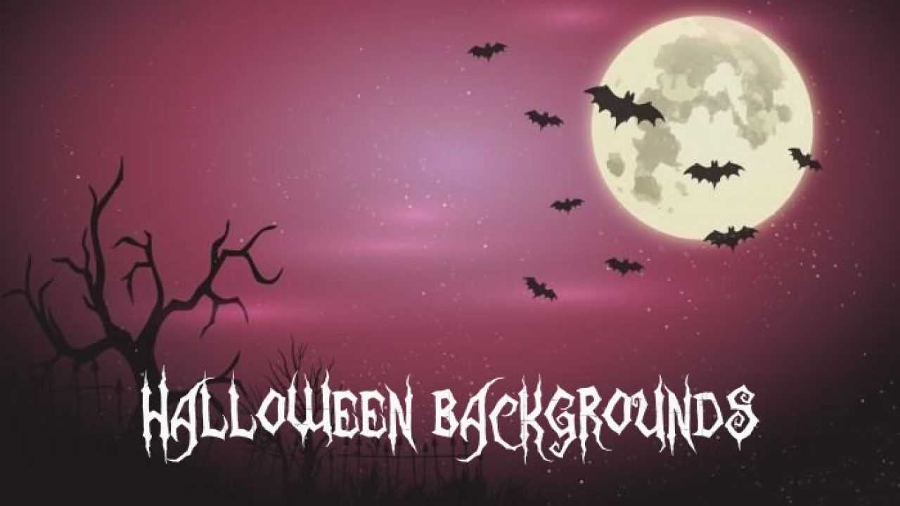 20 Free Halloween Backgrounds And Poster Templates – Super With Free Halloween Templates For Word