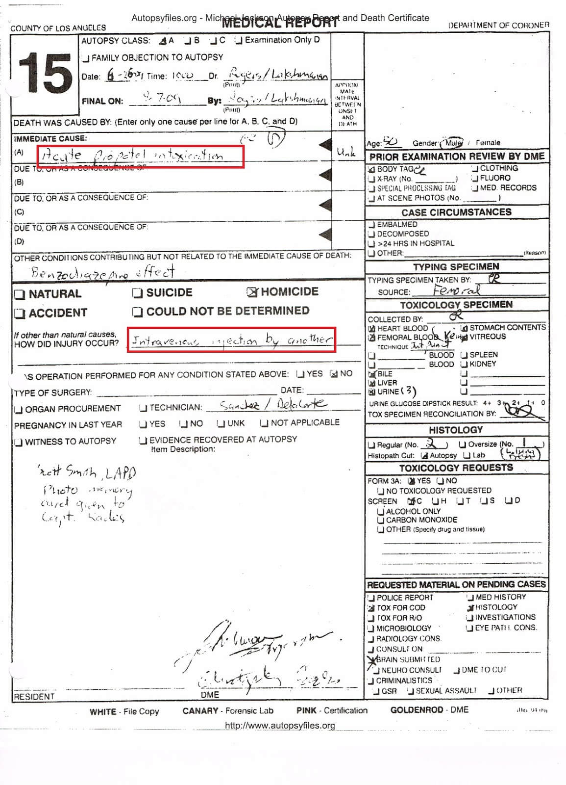 28+ [ Autopsy Report Template ] | Autopsy Report For Crime In Blank Autopsy Report Template