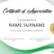 30 Free Certificate Of Appreciation Templates And Letters Inside Safety Recognition Certificate Template