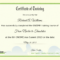 3244 Certificate Of Training Template | Wiring Resources With Class Completion Certificate Template