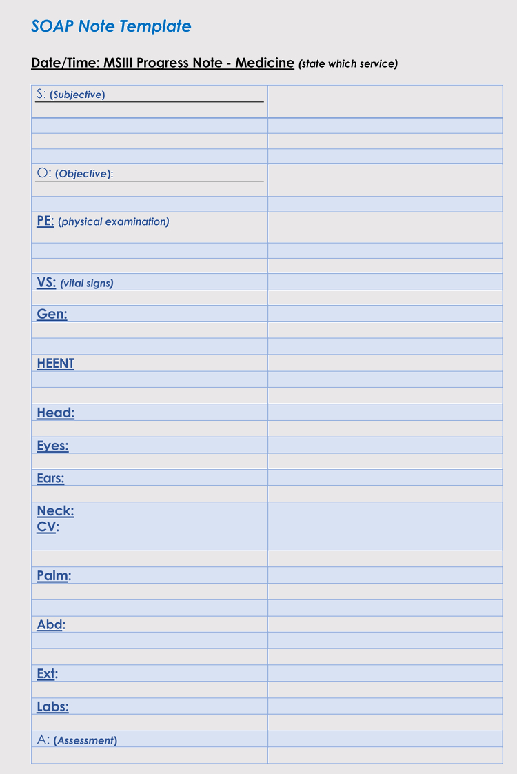 35+ Soap Note Examples (Blank Formats & Writing Tips) Throughout Soap Note Template Word