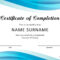 40 Fantastic Certificate Of Completion Templates [Word Pertaining To Template For Training Certificate