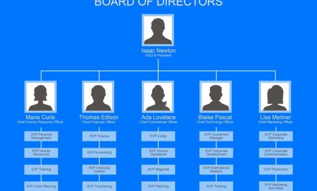 40 Organizational Chart Templates (Word, Excel, Powerpoint) inside Company Organogram Template Word