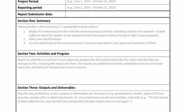 40+ Project Status Report Templates [Word, Excel, Ppt] ᐅ in Research Project Progress Report Template