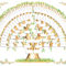 5 Generation Family Tree Template Tree Gallery | Blank For 3 Generation Family Tree Template Word