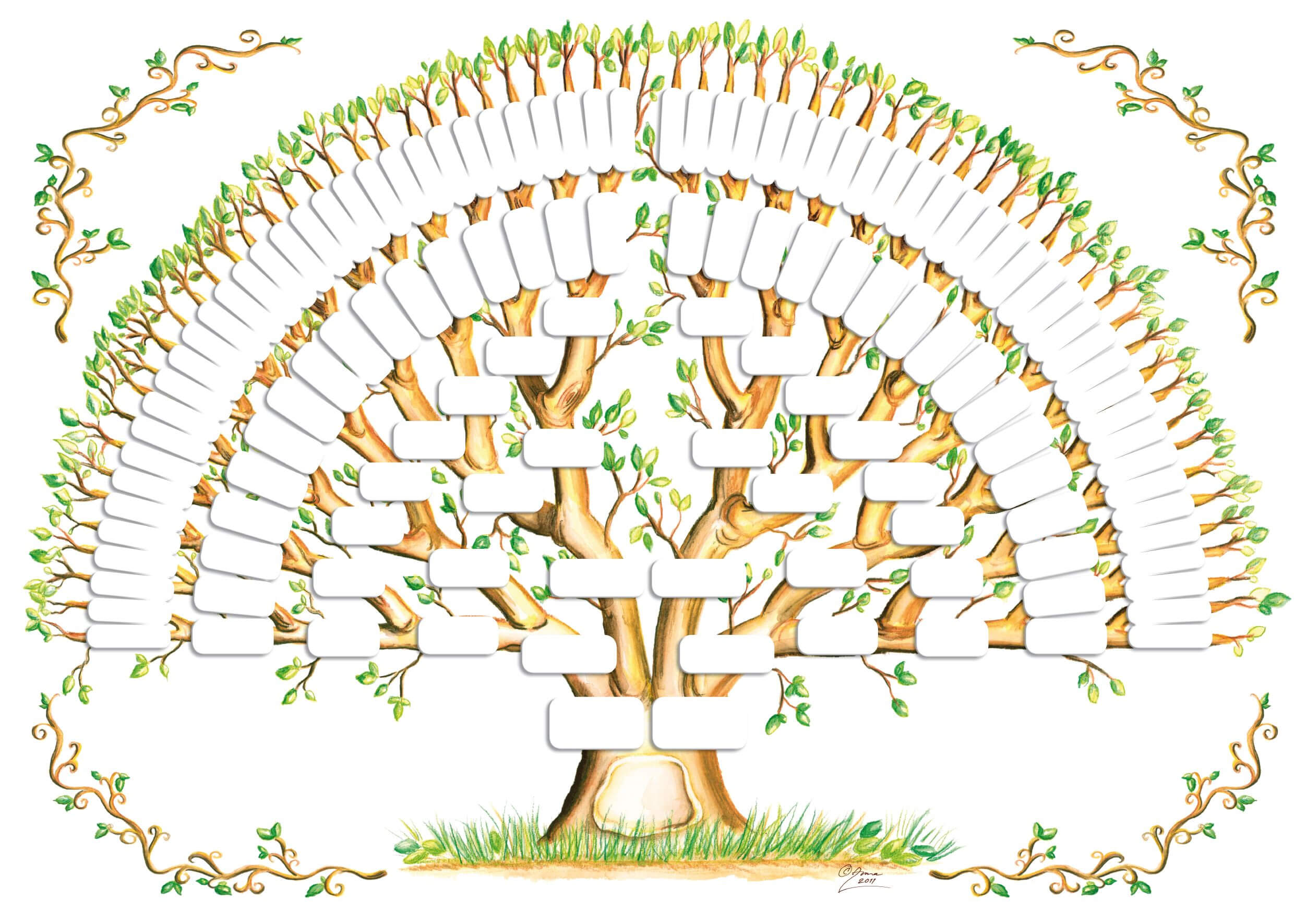 5 Generation Family Tree Template Tree Gallery | Blank For 3 Generation Family Tree Template Word