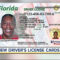 61A14 Florida Driver License Template | Wiring Resources In Florida Id Card Template