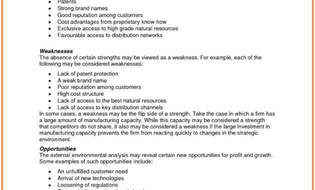 9+ Strategic Analysis Report Examples - Pdf | Examples with Strategic Analysis Report Template