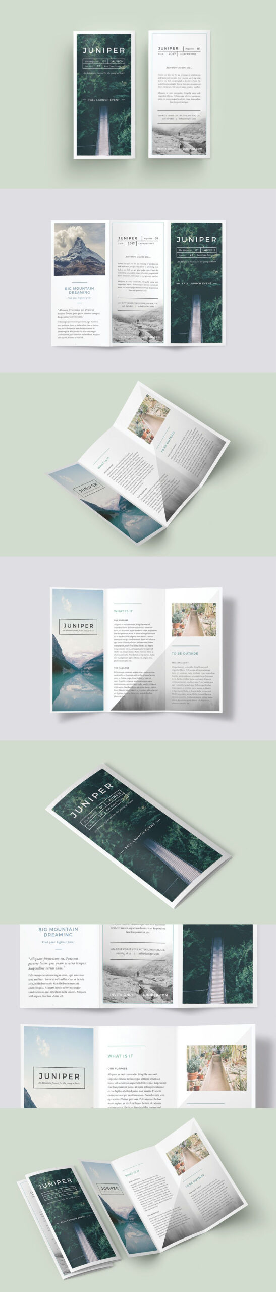 A Beautiful Multipurpose Tri Fold Dl Brochure Template For Tri Fold Brochure Template Indesign Free Download