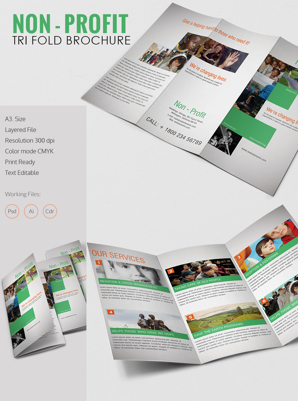Amazing Non Profit A3 Tri Fold Brochure Template Download With Ngo Brochure Templates
