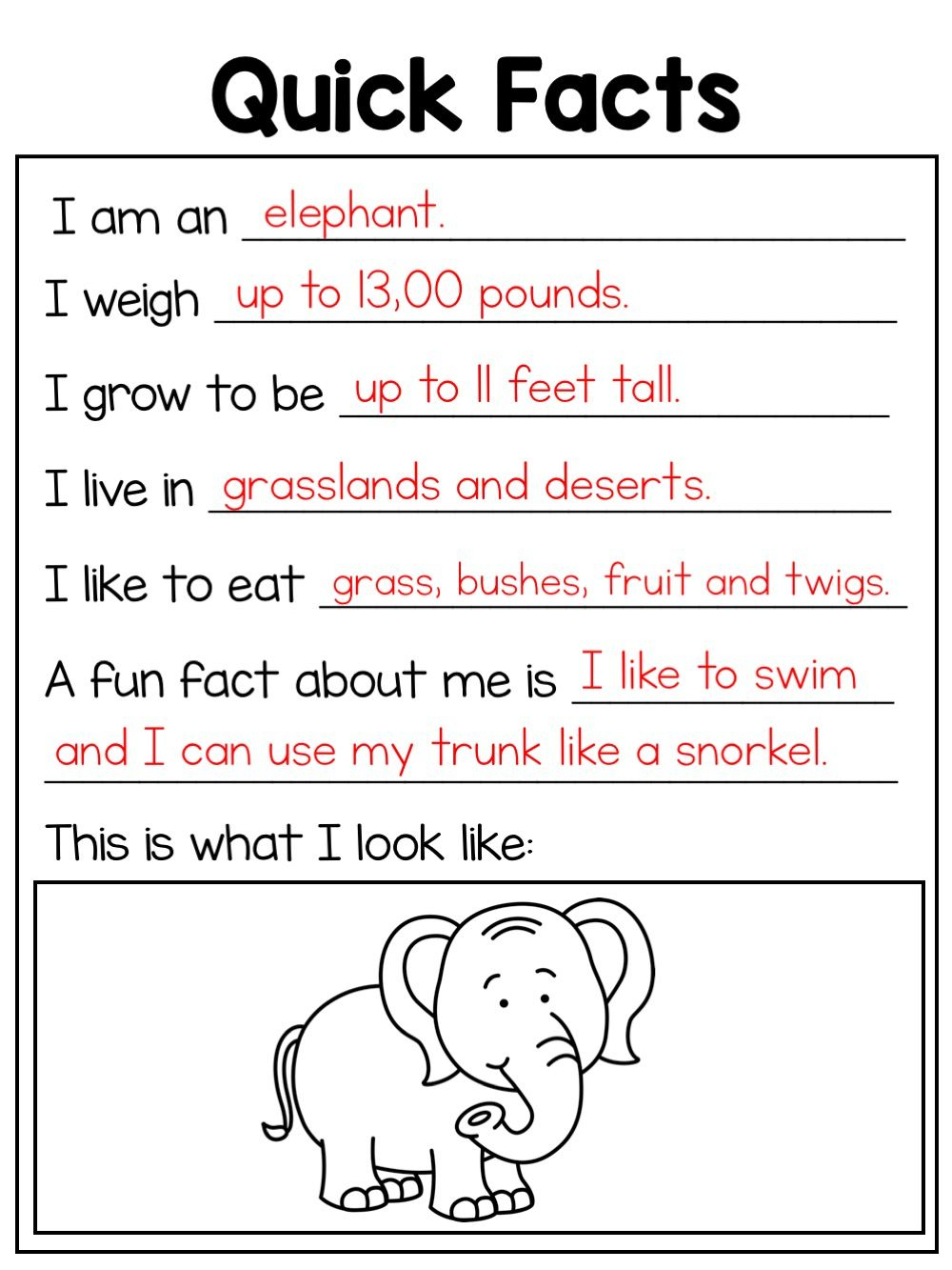 Animal Reports – Quick Facts Blank For All Research Projects In Blank Elephant Template