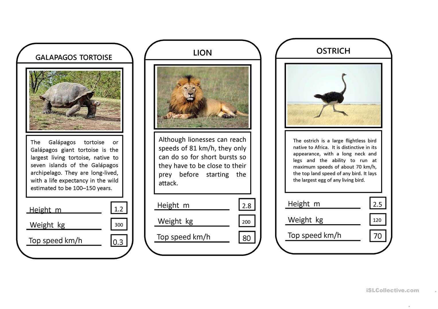 Animal Top Trumps Game - English Esl Powerpoints Throughout Top Trump Card Template