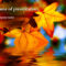 Autumn Powerpoint Template | Powerpoint Presentation in Free Fall Powerpoint Templates