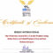 Award Certificate Templates You 39 Re A Star Award Regarding Star Performer Certificate Templates