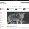 Best Aggregator Themes For WordPress – Wp Mayor Inside Drudge Report Template