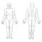 Blank Body Diagram – Zimer.bwong.co In Blank Body Map Template
