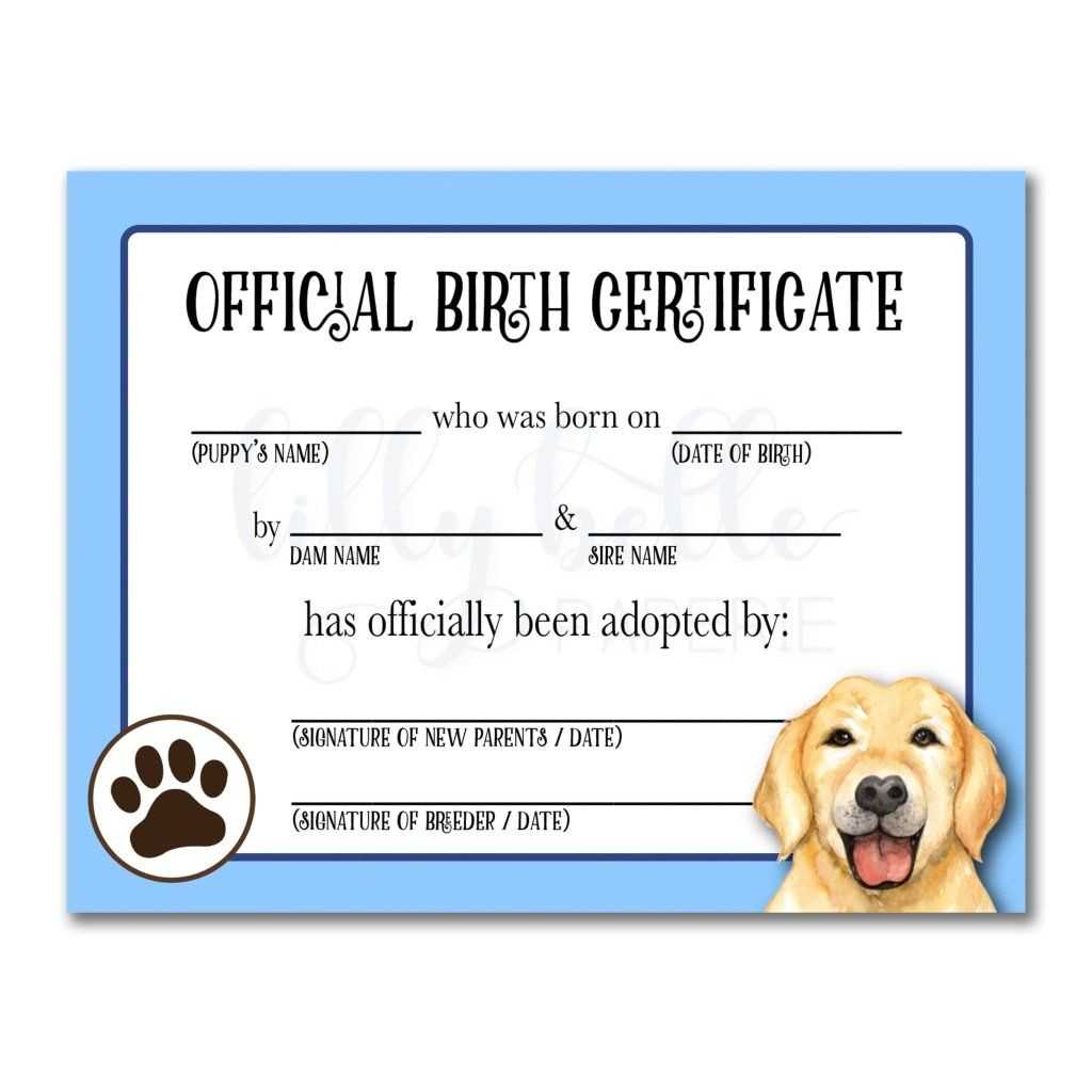 Blue Golden Retriever Birth Certificate | Birth Certificate For Pet Adoption Certificate Template