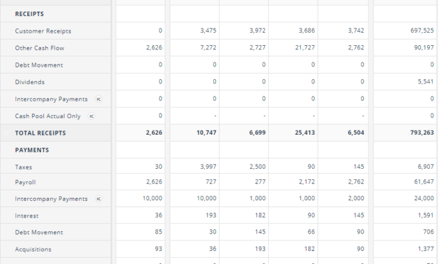 Cash Flow Forecasting Template pertaining to Liquidity Report Template