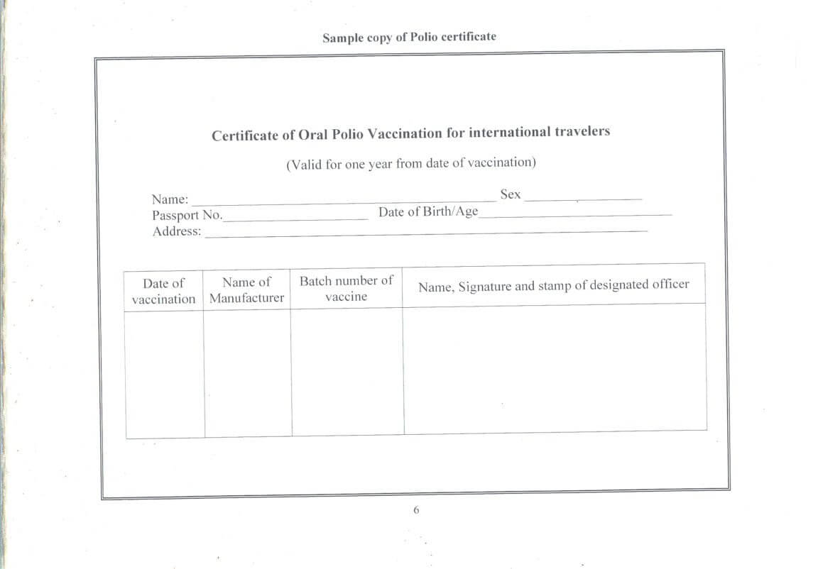 Certificate Of Vaccination Template – Zimer.bwong.co Throughout Dog Vaccination Certificate Template