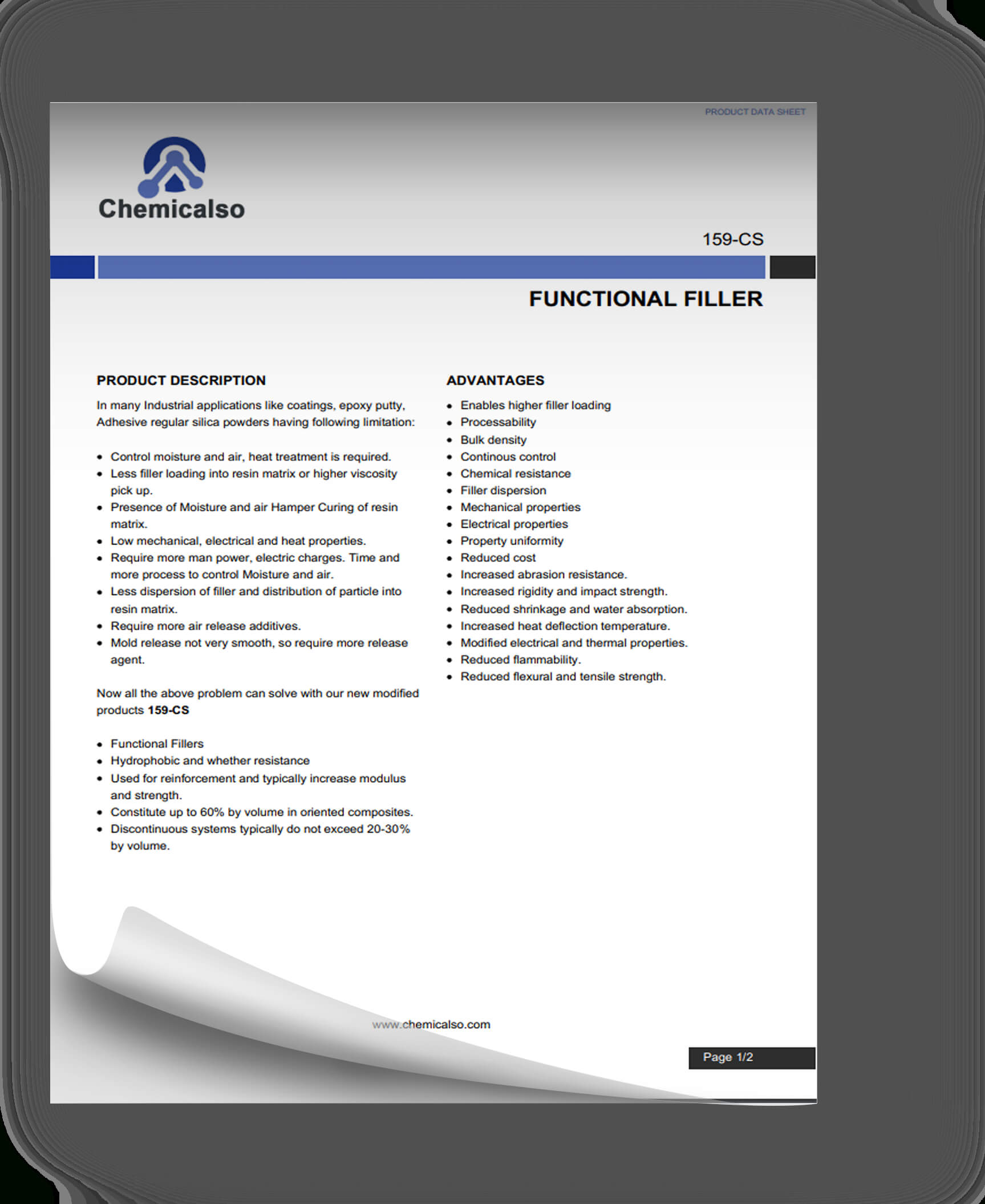 Chemical Filler Datasheet Template Professional And Pertaining To Datasheet Template Word