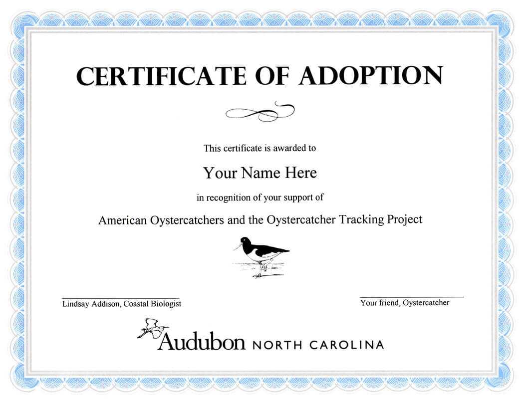 Child Adoption Certificate Template | Sample Resume For In Adoption Certificate Template