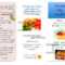 Dash Diet Brochure | Nutr 360 Throughout Nutrition Brochure Template