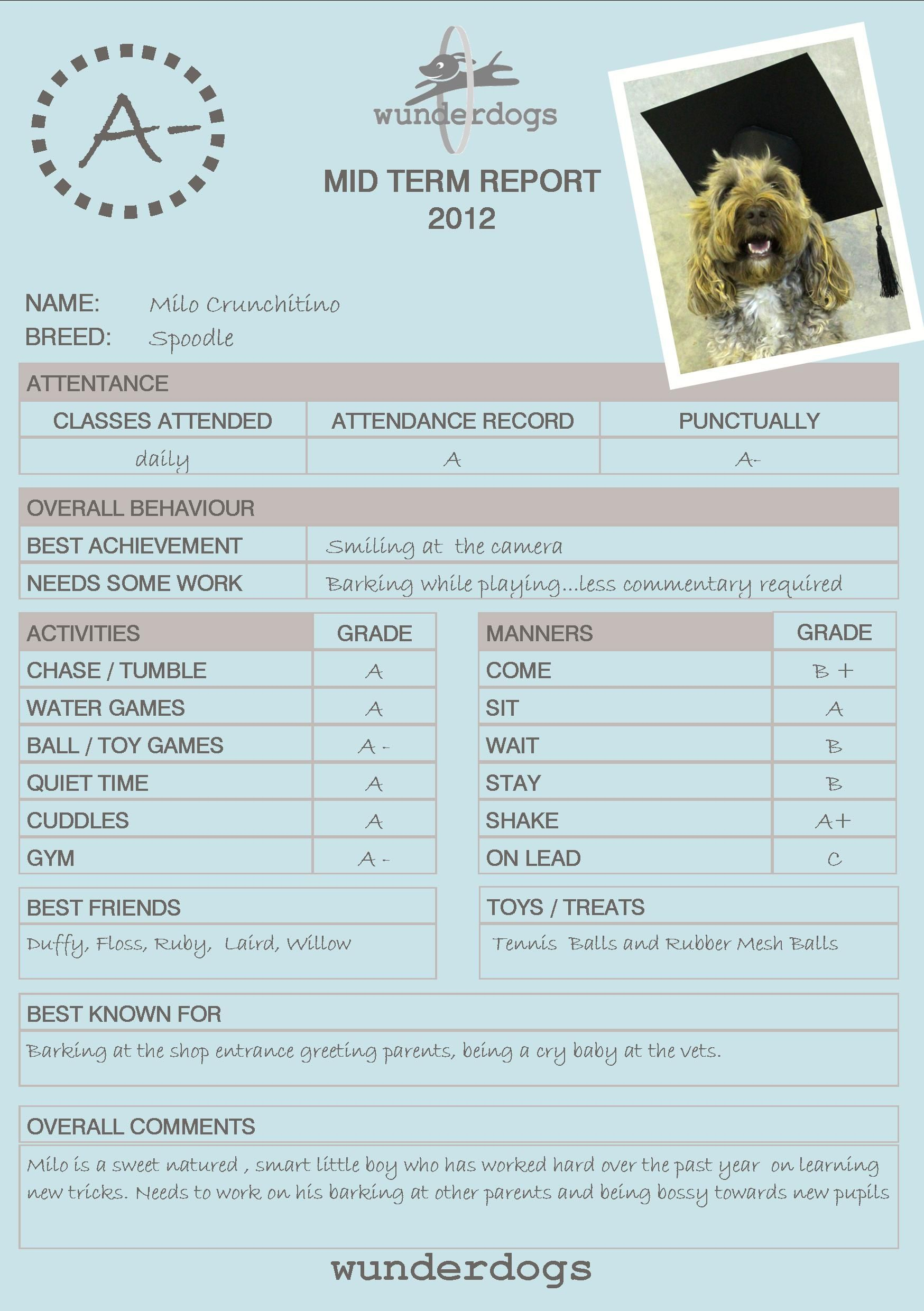 Dog Obedience Report Cards – Google Search | Report Card Inside Dog Grooming Record Card Template