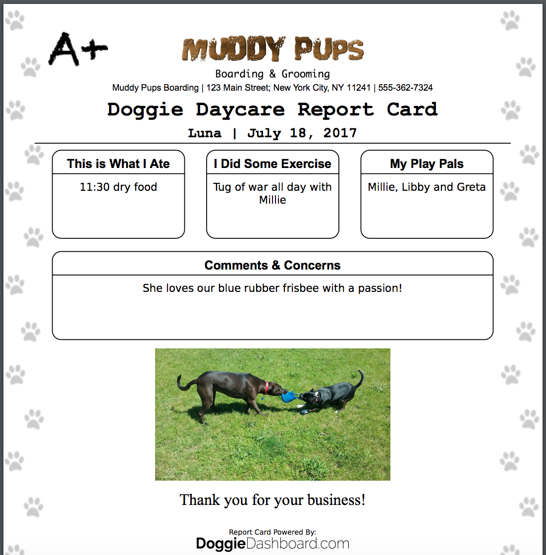Doggiedashboard | Free Dog Daycare & Kennel Boarding Software With Regard To Dog Grooming Record Card Template