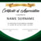 Download Certificate Of Appreciation For Donation 02 Inside Donation Certificate Template