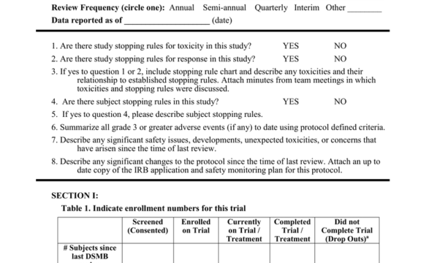 Dsmb Report Form Template within Dsmb Report Template