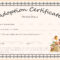 Editable Adoption Certificates Hadipalmexco Child Adoption For Child Adoption Certificate Template