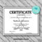 Editable Hockey Sports Team Certificate Template – Printable With Hockey Certificate Templates