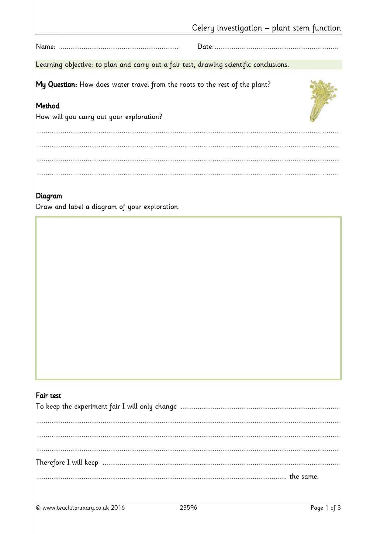 Eyfs | Ks1 | Ks2 | Investigations | Teachit Primary For Science Report Template Ks2